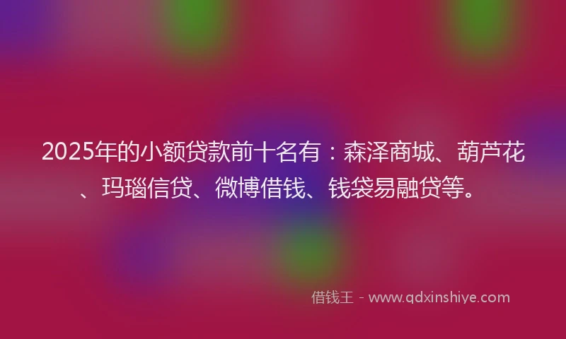 2025年的小额贷款前十名有：森泽商城、葫芦花、玛瑙信贷、微博借钱、钱袋易融贷等。