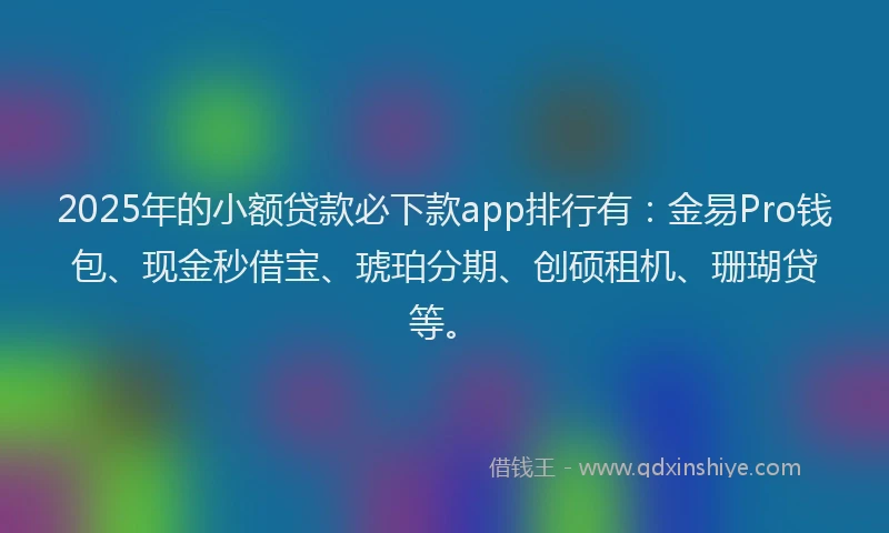 2025年的小额贷款必下款app排行有：金易Pro钱包、现金秒借宝、琥珀分期、创硕租机、珊瑚贷等。