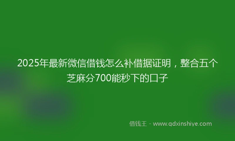 2025年最新微信借钱怎么补借据证明，整合五个芝麻分700能秒下的口子