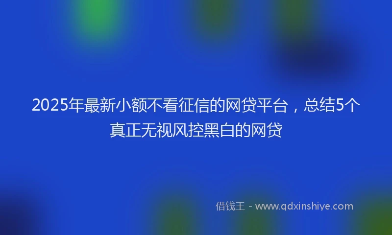 2025年最新小额不看征信的网贷平台，总结5个真正无视风控黑白的网贷
