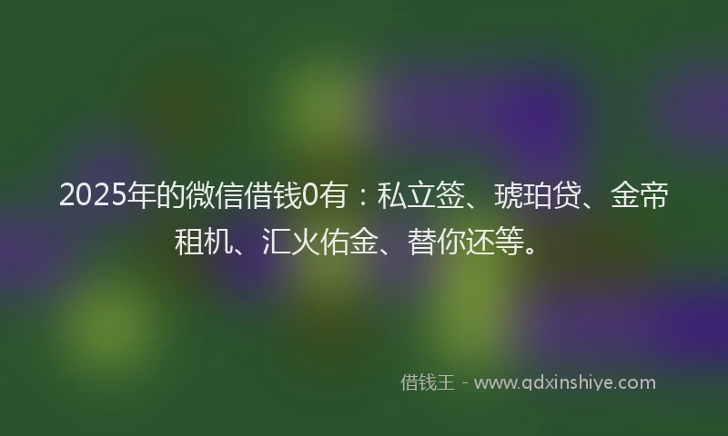 2025年的微信借钱0有：私立签、琥珀贷、金帝租机、汇火佑金、替你还等。