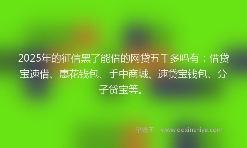 2025年的征信黑了能借的网贷五千多吗有：借贷宝速借、惠花钱包、手中商城、速贷宝钱包、分子贷宝等。
