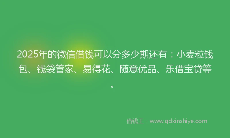 2025年的微信借钱可以分多少期还有：小麦粒钱包、钱袋管家、易得花、随意优品、乐借宝贷等。