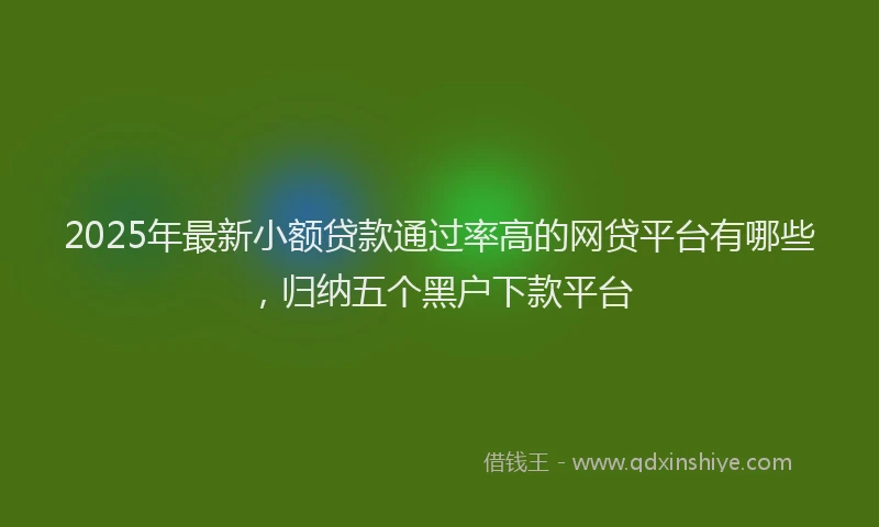 2025年最新小额贷款通过率高的网贷平台有哪些，归纳五个黑户下款平台