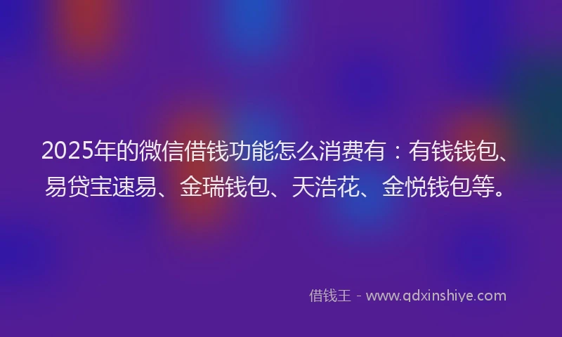2025年的微信借钱功能怎么消费有：有钱钱包、易贷宝速易、金瑞钱包、天浩花、金悦钱包等。