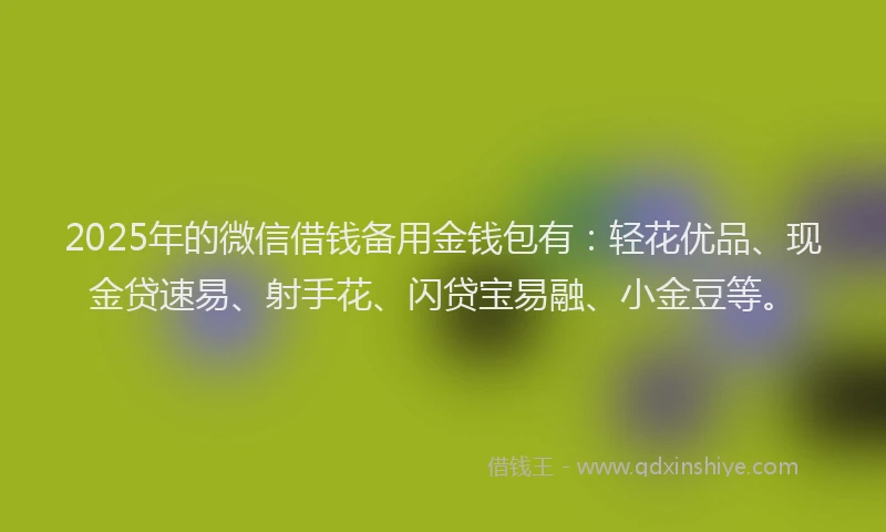 2025年的微信借钱备用金钱包有：轻花优品、现金贷速易、射手花、闪贷宝易融、小金豆等。