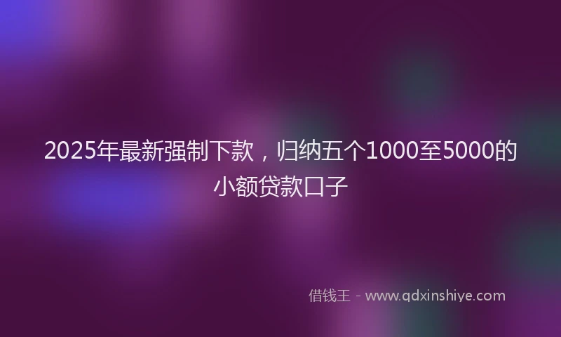 2025年最新强制下款，归纳五个1000至5000的小额贷款口子