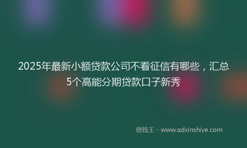 2025年最新小额贷款公司不看征信有哪些，汇总5个高能分期贷款口子新秀