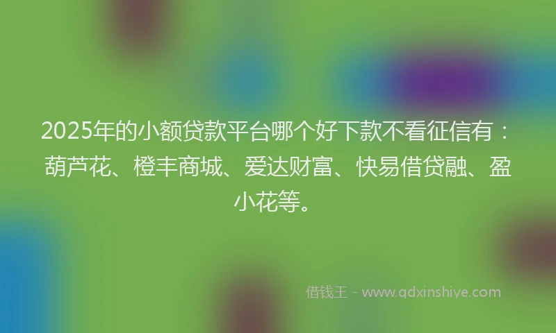 2025年的小额贷款平台哪个好下款不看征信有：葫芦花、橙丰商城、爱达财富、快易借贷融、盈小花等。