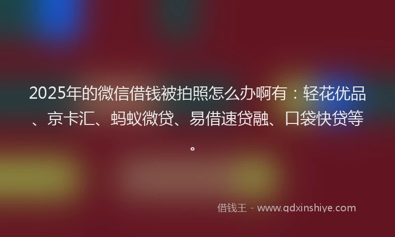 2025年的微信借钱被拍照怎么办啊有：轻花优品、京卡汇、蚂蚁微贷、易借速贷融、口袋快贷等。