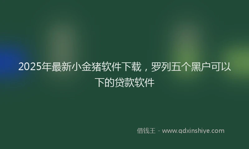 2025年最新小金猪软件下载，罗列五个黑户可以下的贷款软件