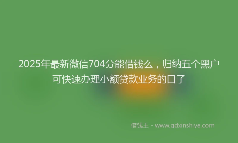 2025年最新微信704分能借钱么，归纳五个黑户可快速办理小额贷款业务的口子
