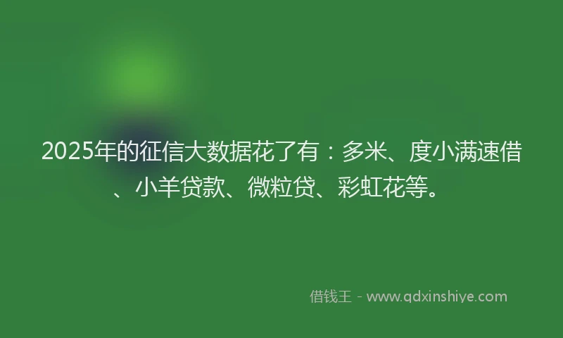2025年的征信大数据花了有：多米、度小满速借、小羊贷款、微粒贷、彩虹花等。