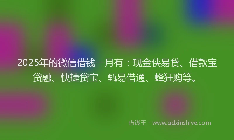 2025年的微信借钱一月有：现金侠易贷、借款宝贷融、快捷贷宝、甄易借通、蜂狂购等。