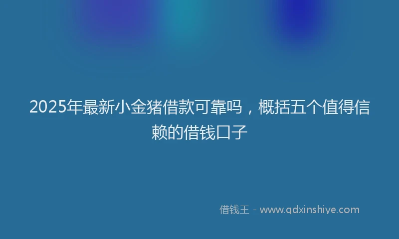 2025年最新小金猪借款可靠吗，概括五个值得信赖的借钱口子