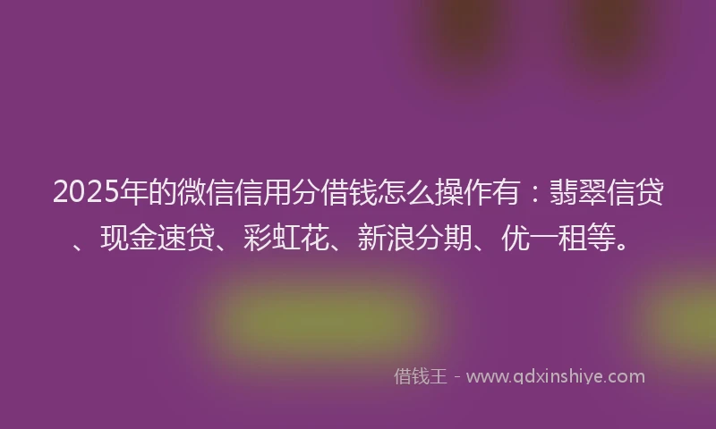 2025年的微信信用分借钱怎么操作有：翡翠信贷、现金速贷、彩虹花、新浪分期、优一租等。