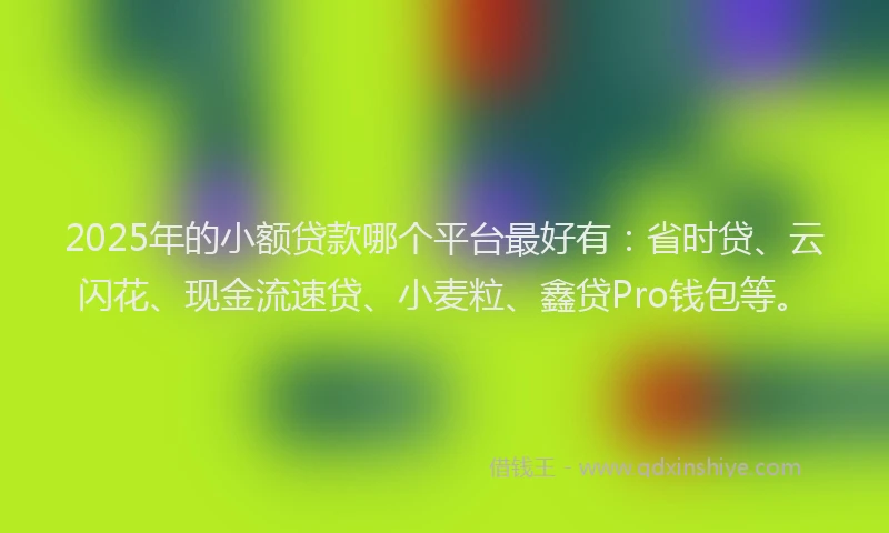 2025年的小额贷款哪个平台最好有：省时贷、云闪花、现金流速贷、小麦粒、鑫贷Pro钱包等。