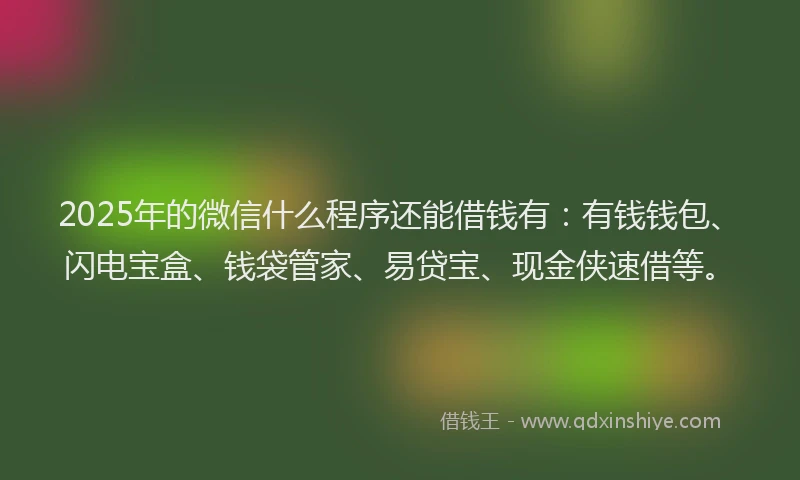 2025年的微信什么程序还能借钱有：有钱钱包、闪电宝盒、钱袋管家、易贷宝、现金侠速借等。