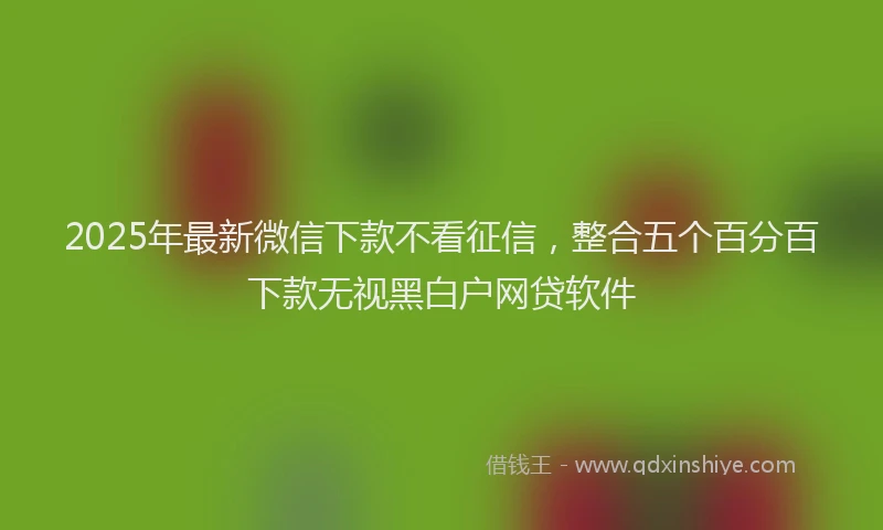 2025年最新微信下款不看征信，整合五个百分百下款无视黑白户网贷软件