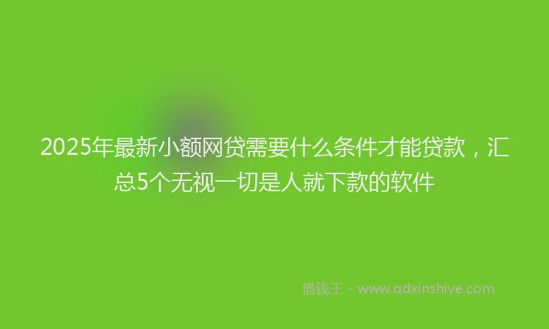 2025年最新小额网贷需要什么条件才能贷款，汇总5个无视一切是人就下款的软件