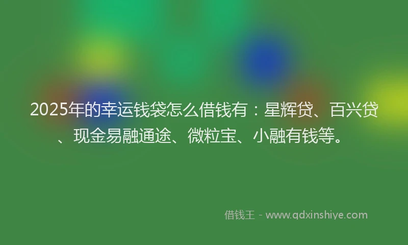 2025年的幸运钱袋怎么借钱有：星辉贷、百兴贷、现金易融通途、微粒宝、小融有钱等。
