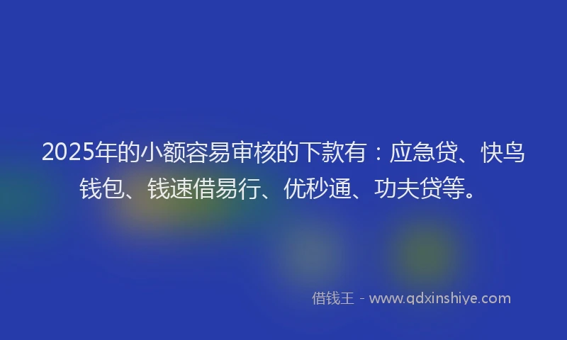 2025年的小额容易审核的下款有：应急贷、快鸟钱包、钱速借易行、优秒通、功夫贷等。