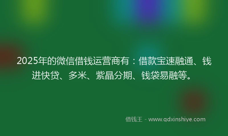 2025年的微信借钱运营商有：借款宝速融通、钱进快贷、多米、紫晶分期、钱袋易融等。