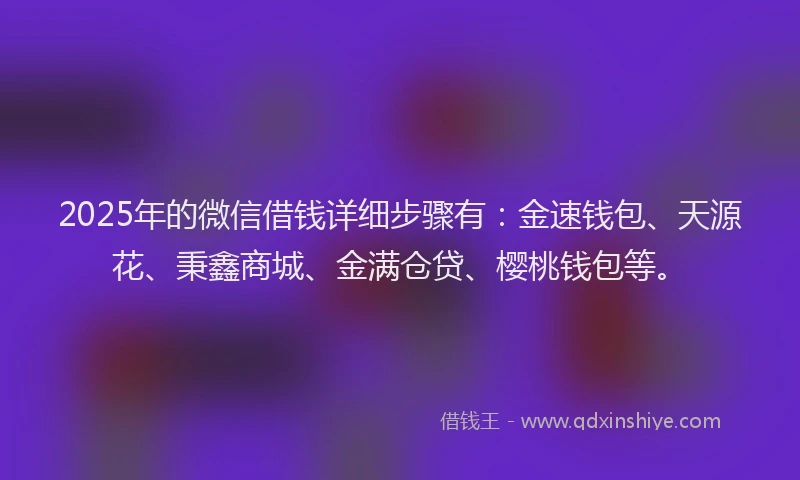 2025年的微信借钱详细步骤有：金速钱包、天源花、秉鑫商城、金满仓贷、樱桃钱包等。