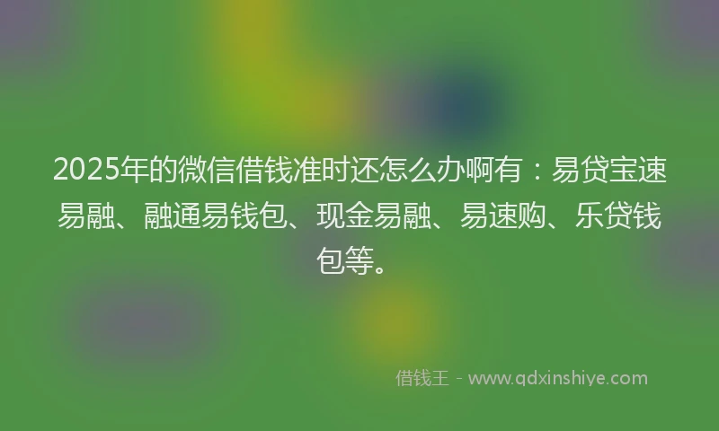 2025年的微信借钱准时还怎么办啊有：易贷宝速易融、融通易钱包、现金易融、易速购、乐贷钱包等。