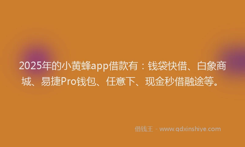 2025年的小黄蜂app借款有：钱袋快借、白象商城、易捷Pro钱包、任意下、现金秒借融途等。