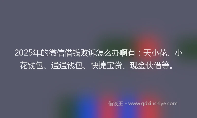 2025年的微信借钱败诉怎么办啊有：天小花、小花钱包、通通钱包、快捷宝贷、现金侠借等。