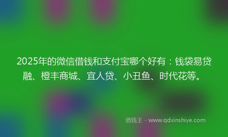 2025年的微信借钱和支付宝哪个好有：钱袋易贷融、橙丰商城、宜人贷、小丑鱼、时代花等。