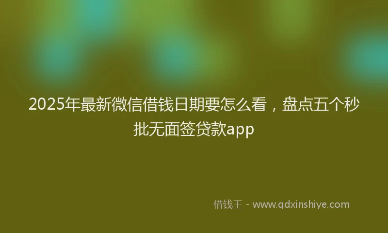 2025年最新微信借钱日期要怎么看，盘点五个秒批无面签贷款app