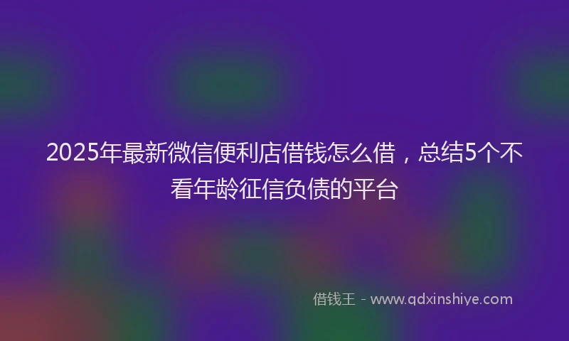2025年最新微信便利店借钱怎么借，总结5个不看年龄征信负债的平台