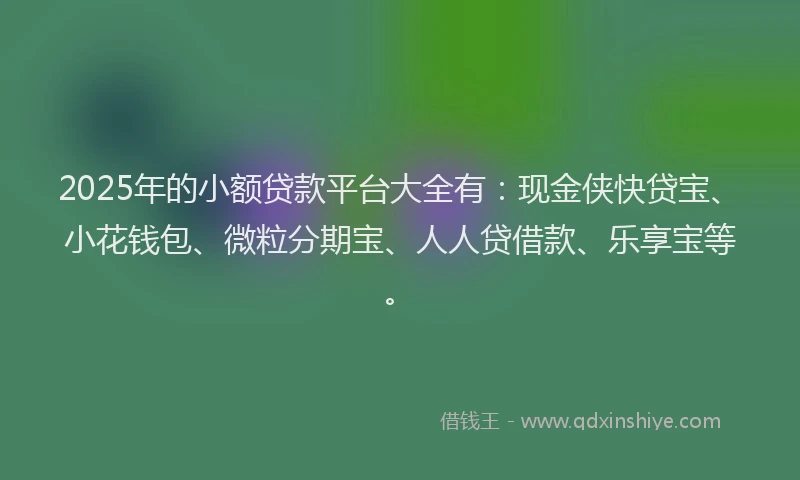 2025年的小额贷款平台大全有：现金侠快贷宝、小花钱包、微粒分期宝、人人贷借款、乐享宝等。