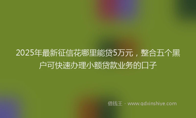 2025年最新征信花哪里能贷5万元，整合五个黑户可快速办理小额贷款业务的口子