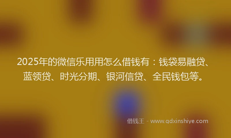 2025年的微信乐用用怎么借钱有：钱袋易融贷、蓝领贷、时光分期、银河信贷、全民钱包等。