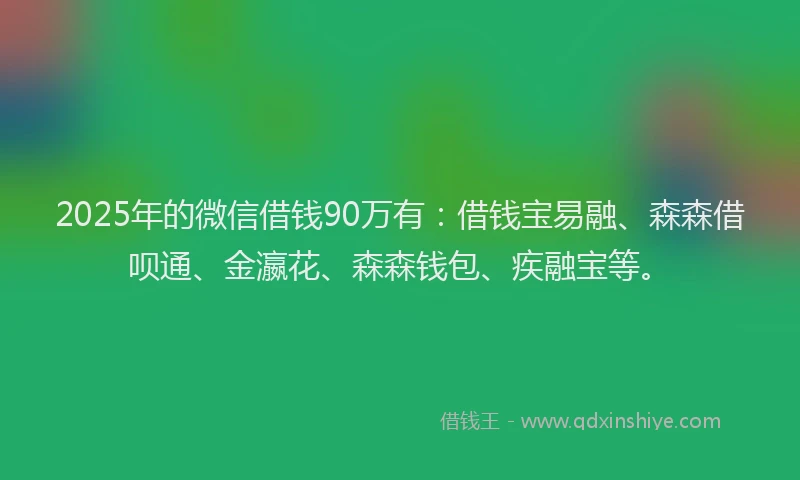 2025年的微信借钱90万有：借钱宝易融、森森借呗通、金瀛花、森森钱包、疾融宝等。