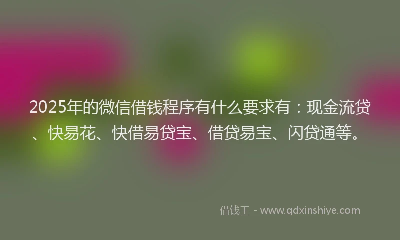 2025年的微信借钱程序有什么要求有：现金流贷、快易花、快借易贷宝、借贷易宝、闪贷通等。