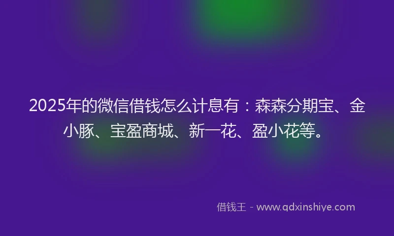 2025年的微信借钱怎么计息有：森森分期宝、金小豚、宝盈商城、新一花、盈小花等。