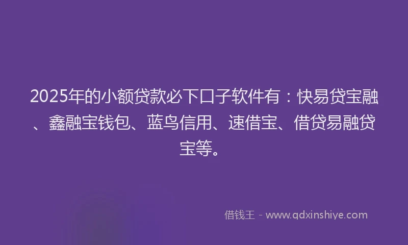 2025年的小额贷款必下口子软件有：快易贷宝融、鑫融宝钱包、蓝鸟信用、速借宝、借贷易融贷宝等。