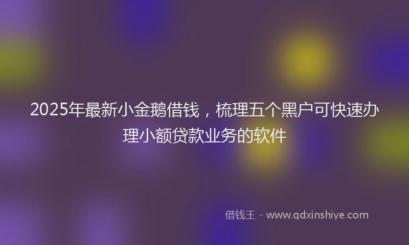 2025年最新小金鹅借钱，梳理五个黑户可快速办理小额贷款业务的软件