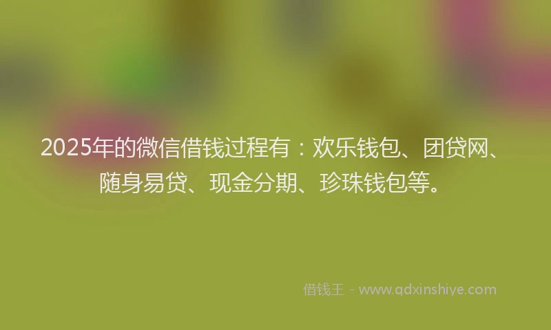 2025年的微信借钱过程有：欢乐钱包、团贷网、随身易贷、现金分期、珍珠钱包等。