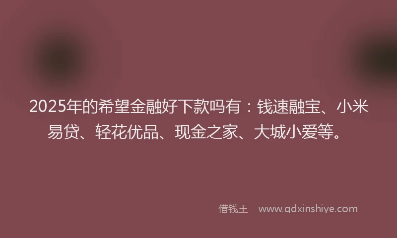 2025年的希望金融好下款吗有：钱速融宝、小米易贷、轻花优品、现金之家、大城小爱等。