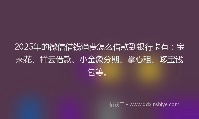 2025年的微信借钱消费怎么借款到银行卡有：宝来花、祥云借款、小金象分期、掌心租、哆宝钱包等。