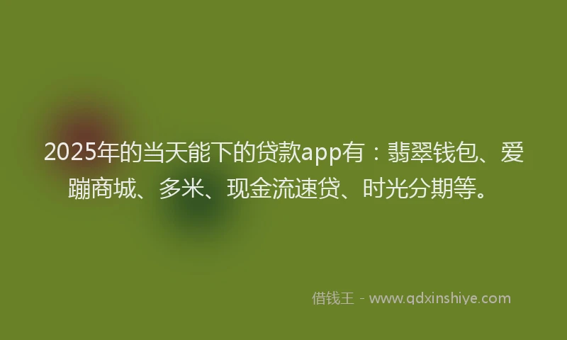 2025年的当天能下的贷款app有：翡翠钱包、爱蹦商城、多米、现金流速贷、时光分期等。