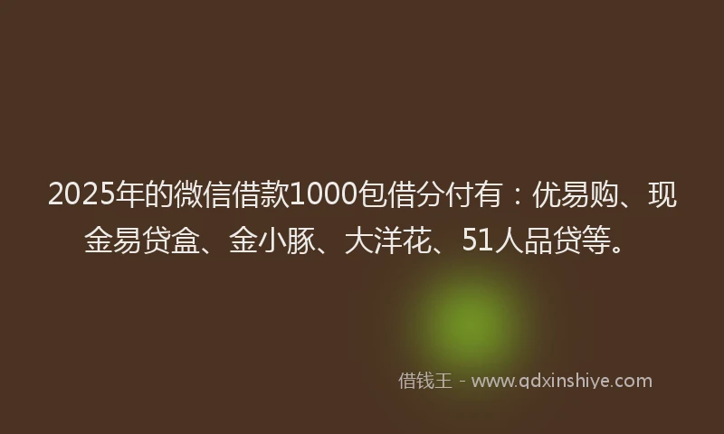 2025年的微信借款1000包借分付有：优易购、现金易贷盒、金小豚、大洋花、51人品贷等。