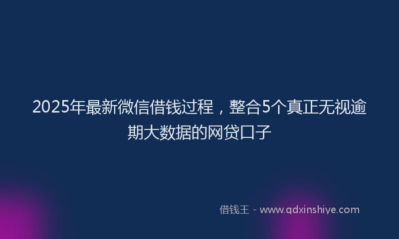 2025年最新微信借钱过程，整合5个真正无视逾期大数据的网贷口子