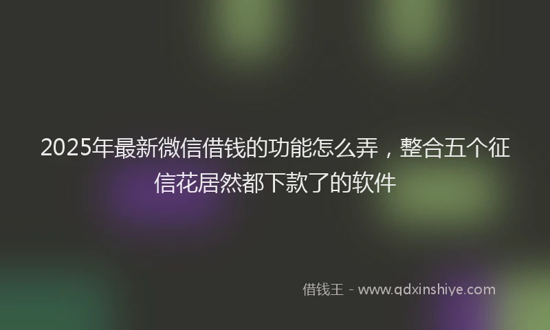 2025年最新微信借钱的功能怎么弄，整合五个征信花居然都下款了的软件
