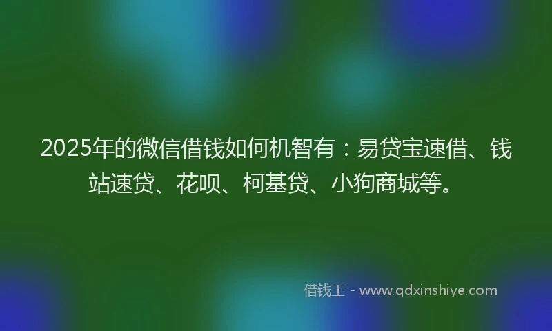 2025年的微信借钱如何机智有：易贷宝速借、钱站速贷、花呗、柯基贷、小狗商城等。